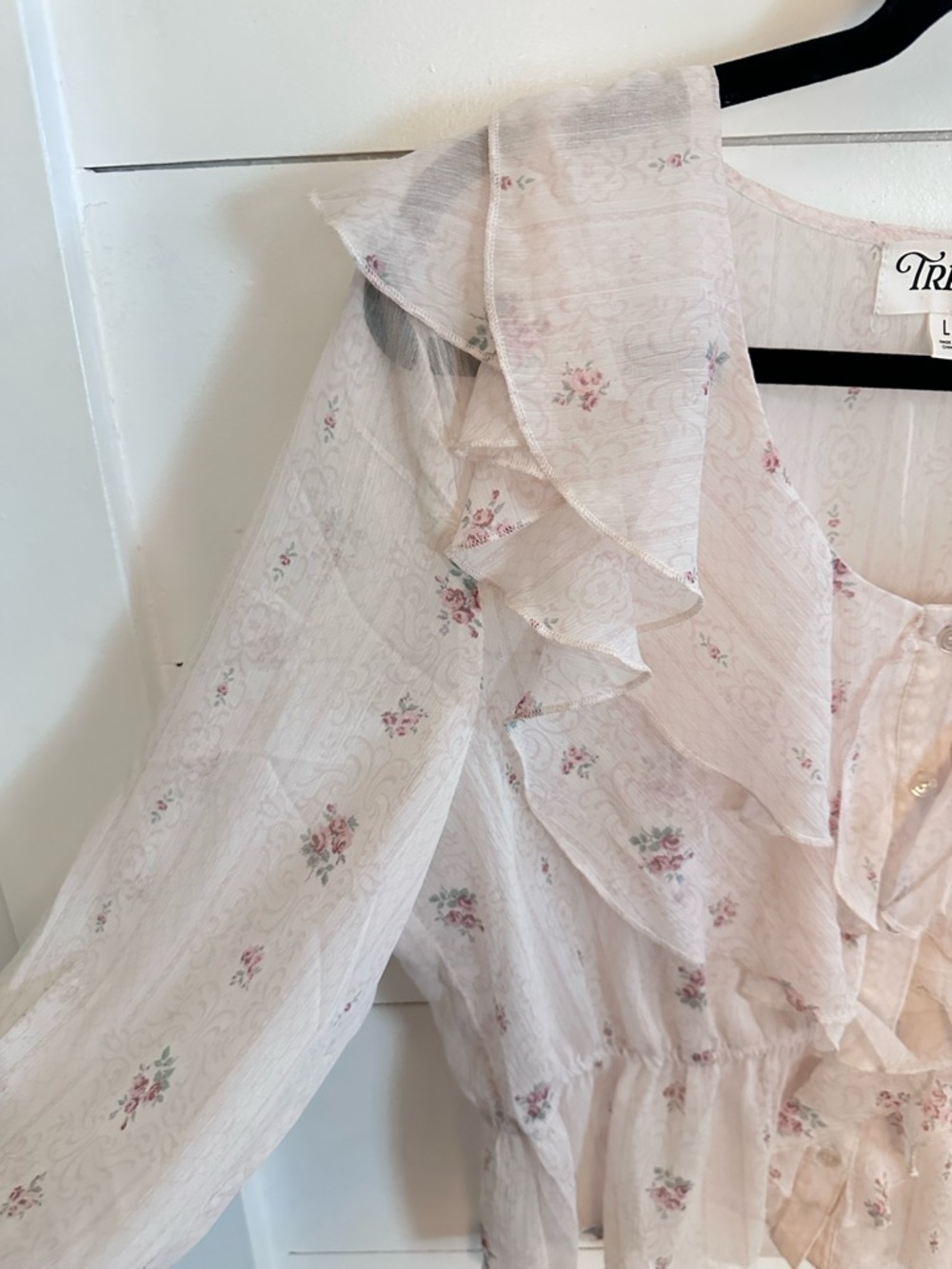 TRIXXI L Greta Pale Pink ditzy floral ruffled chest & sleeve sheer button blouse - Picture 7 of 14